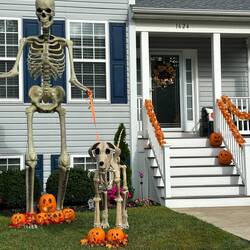 Ready for Halloween!