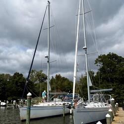 Southern Cross and Serendipity