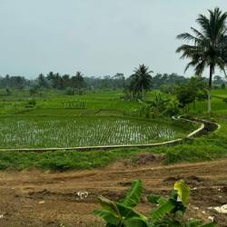 Auf dem Weg nach "Borobudur"