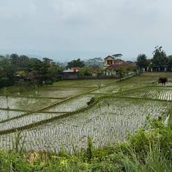 Auf dem Weg nach "Borobudur"