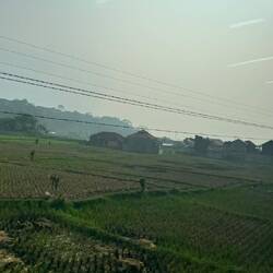 Auf dem Weg nach "Borobudur"