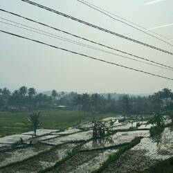 Auf dem Weg nach "Borobudur"