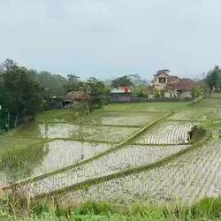 Auf dem Weg nach "Borobudur"