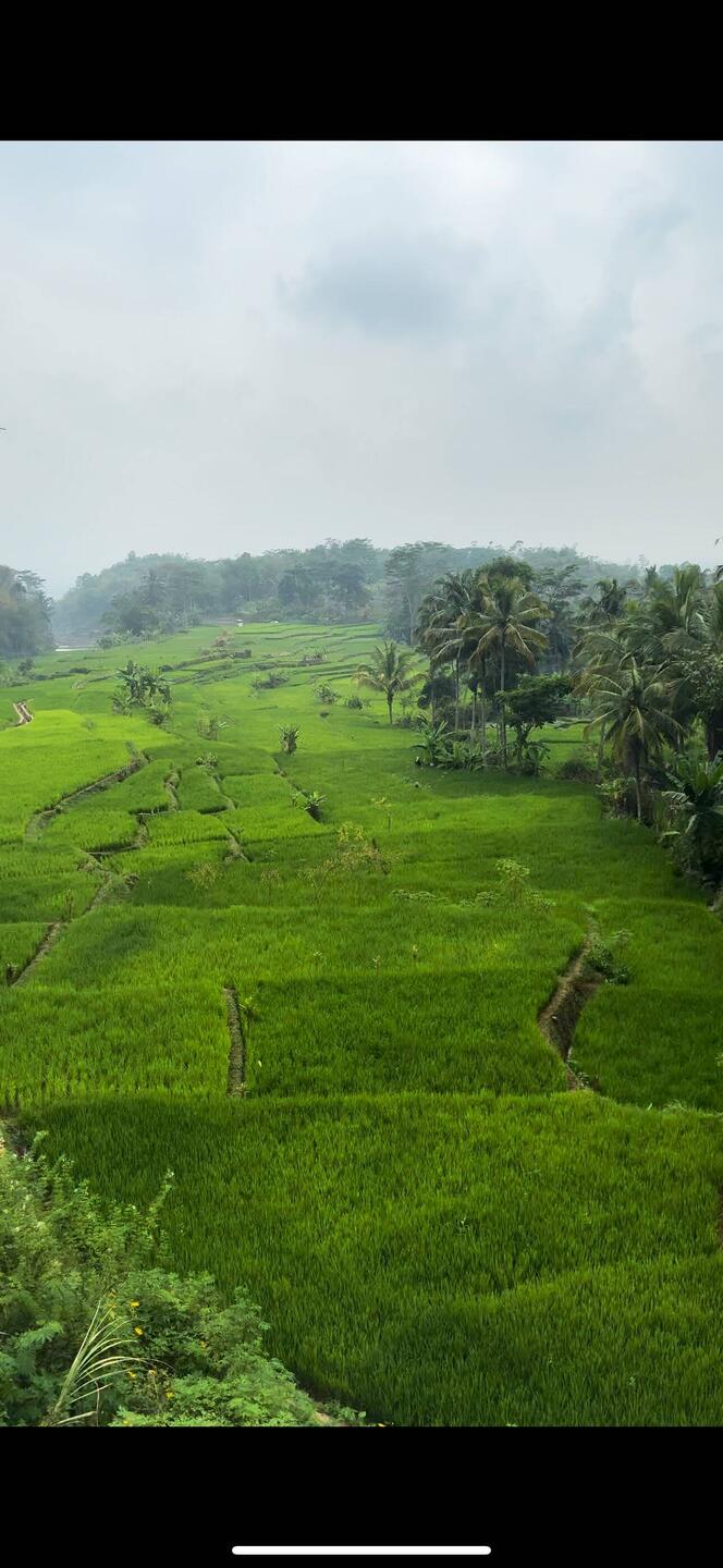 Auf dem Weg nach "Borobudur"