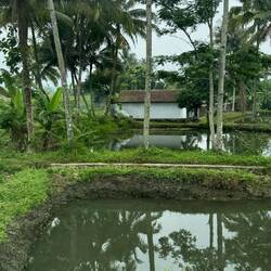 Auf dem Weg nach "Borobudur"