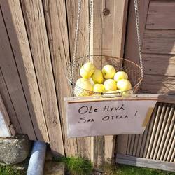 Die waren richtig lecker!