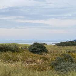 Blick auf die Fehmarnsundbrücke.
