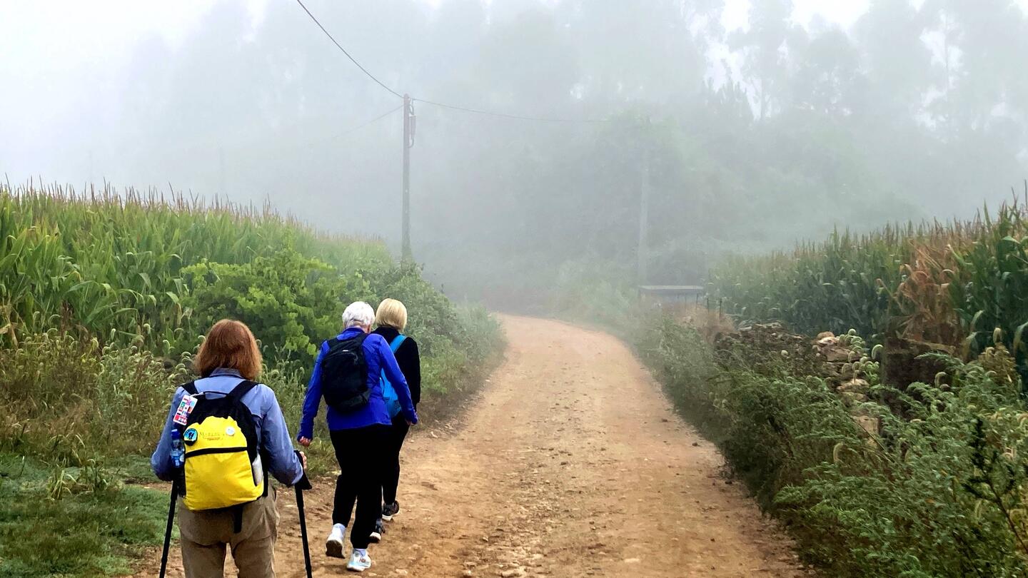Starting in the fog