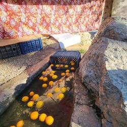 Wasserkühlung für die Orangen