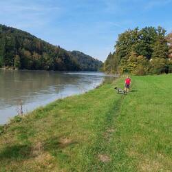 Auch schonmal über Wiesenwege!