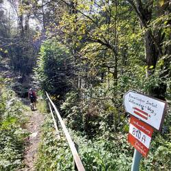 Dann beginnt der Weitwanderweg 810 A!
