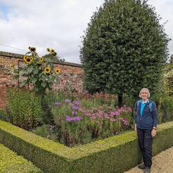 In the Walled Garden