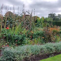 In the Walled Garden
