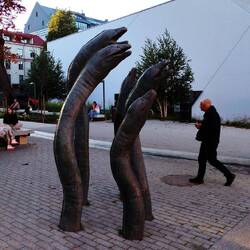 Warum auch immer Moränen oder Aal ?