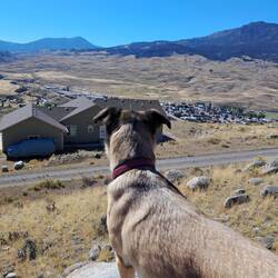 Ausblick oberhalb unseres Campgrounds