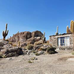 Auf der Insel gab es unzählige der Kakteen, die in dieser Region typisch sind