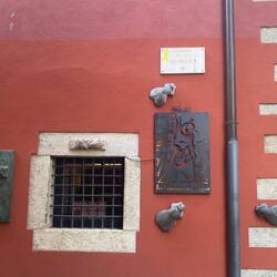 Girona loves their flies - long history behind it