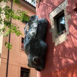 Fly on the wall near our place