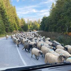 Gegenverkehr - ja das gibt's auch auf einer Bundesstraße 🙃