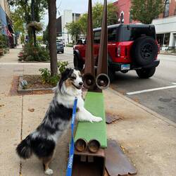 This is a dog propped on an abstract dog