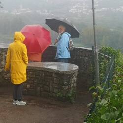 Regentag