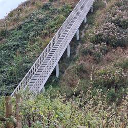 Stefan Raab Treppe...🤣