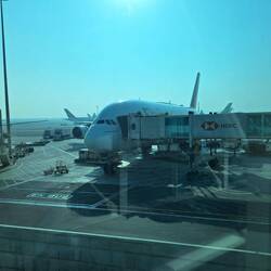 Airbus A380-800 - Emirates