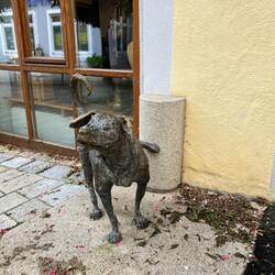 Hundeskulptur in der Altstadt