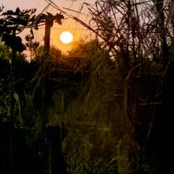 Nein, kein Sonnenuntergang, sondern Supermond!