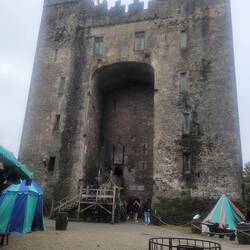 The castle was impressive. We had to climb steep winding staircases to see each level.