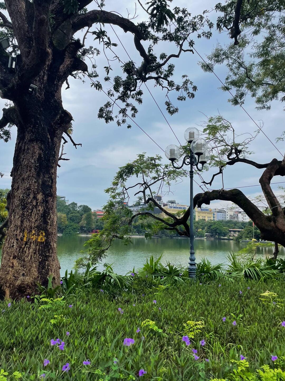 Hoan kiem lake