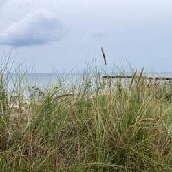 Ich liebe die Farben.