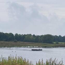 Kleiner Teich hinter dem Strand.