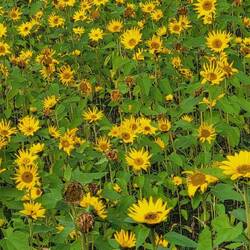 Buchstabe 13 Kästchen 18 Plural!