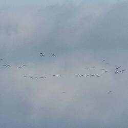 Es gehört immer zum Herbst.