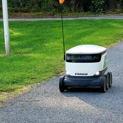 Was kommt uns denn da auf Finnlands Wegen entgegen? Wer hat eine Idee?