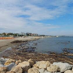 Treibholz vom Unwetter