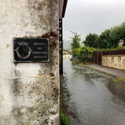The camino de Santiago