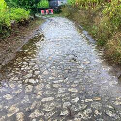 Ugh. Wet feet.