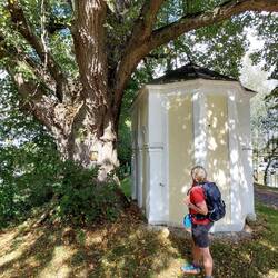 Nach dieser Monsterlinde....