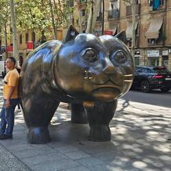 Cat - symbol of Barcelona