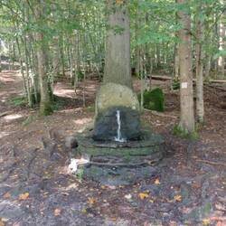 Kein Trinkwasser