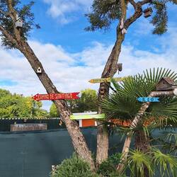 Bird houses and directions, very useful trees.