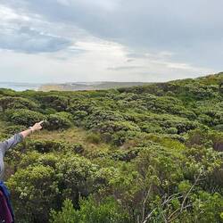 See those sticks in the upper right? That's the site of our earlier pic from the viewing platform.