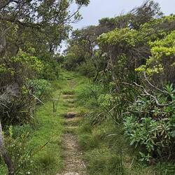 Another example of the pathway.