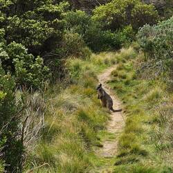 Roo #2 about 10 meters farther!