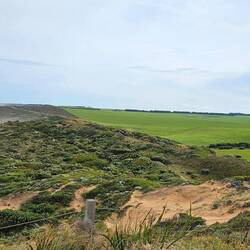 View from the trail looking back (west) towards the Twelve Apostles.