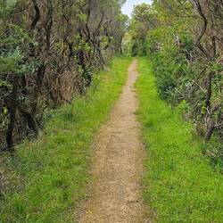 The walking path had a lot of different terrain...
