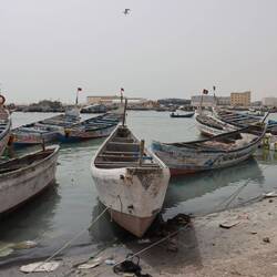 Am Hafen von Nouadibou
