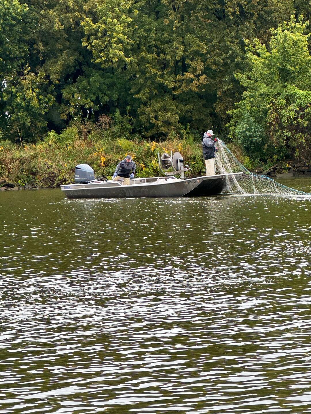 Setting the net